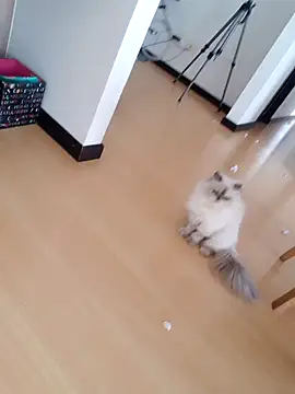 Snapshot of _monicab chatting on 09.27.25 monicab online show from 09.27.25