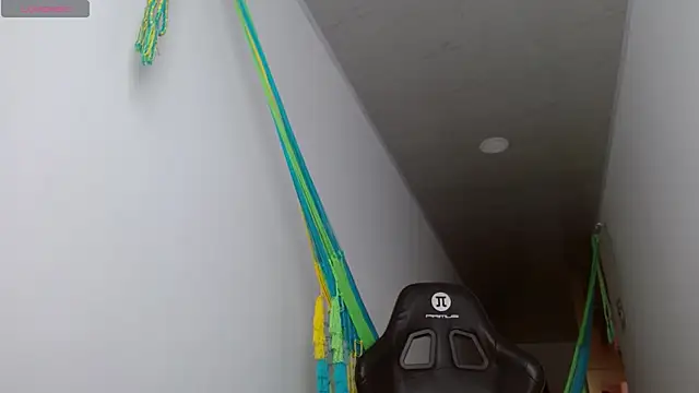 danna peterson1 online show from 10.27.25