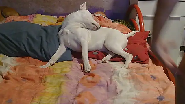 Snapshot of couplemilf2 chatting on 12.06.24 couplemilf2 online show from 12.06.24