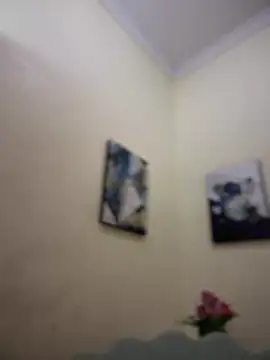 Snapshot of MaverickGray chatting on 01.26.25 MaverickGray online show from 01.26.25