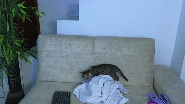 Lorenne Miller online show from 10.22.25