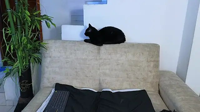 Lorenne Miller online show from 04.22.26