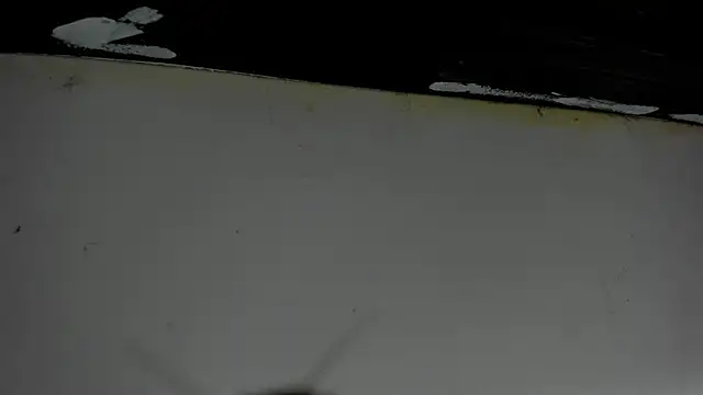 danielclarton1 online show from 10.22.25