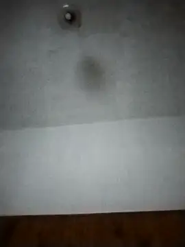 Xtrem3HARDxxx online show from 12.12.24