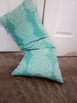 Snapshot of ale3J4a chatting on 10.17.25 ale3J4a online show from 10.17.25