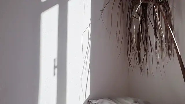 my lina online show from 10.17.25