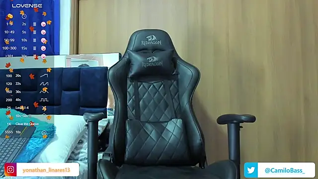 Snapshot of _CamiloBass chatting on 02.06.25 CamiloBass online show from 02.06.25