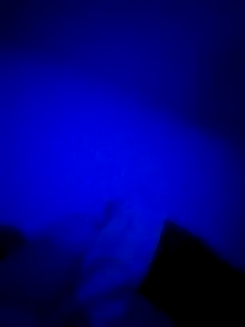 Snapshot of HELL_FIRE chatting on 10.24.25 HELL FIRE online show from 10.24.25