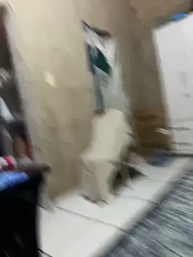 HenriqueH3 online show from 03.02.26