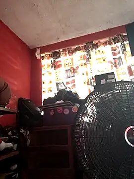 VL25DN26 online show from 11.07.25