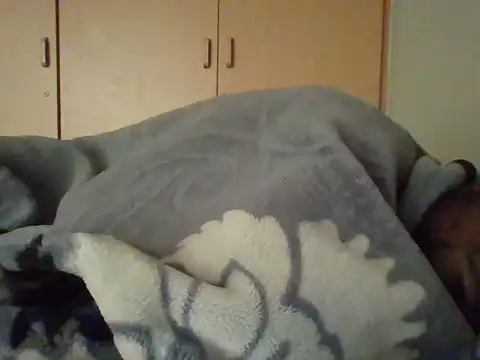 Snapshot of TheeMassageMobileSpa chatting on 02.20.25 TheeMassageMobileSpa online show from 02.20.25