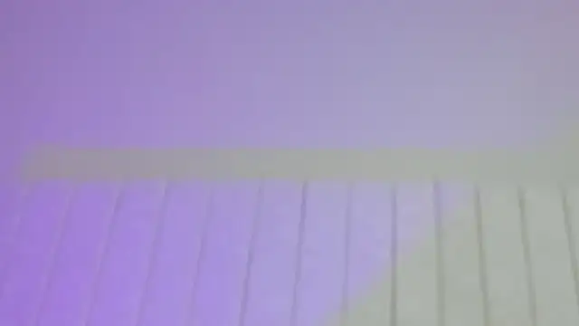 Littleolivia  online show from 01.29.25