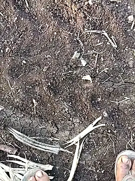 sexy yashu 006 online show from 11.10.25