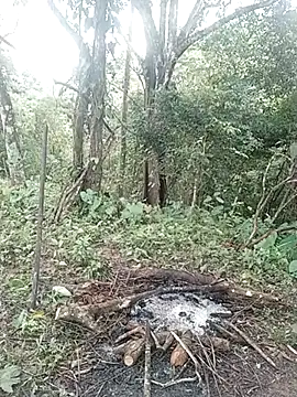 andreu mature online show from 02.23.25