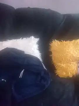 Snapshot of amarrabrown2024 chatting on 03.17.25 amarrabrown2024 online show from 03.17.25