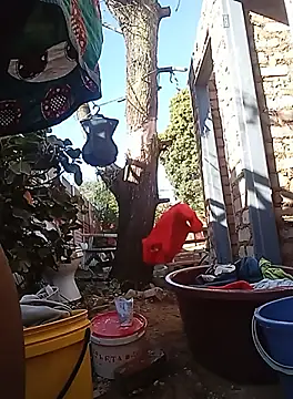 Snapshot of amarrabrown2024 chatting on 09.19.25 amarrabrown2024 online show from 09.19.25