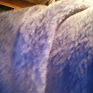 Snapshot of amarrabrown2024 chatting on 10.15.25 amarrabrown2024 online show from 10.15.25