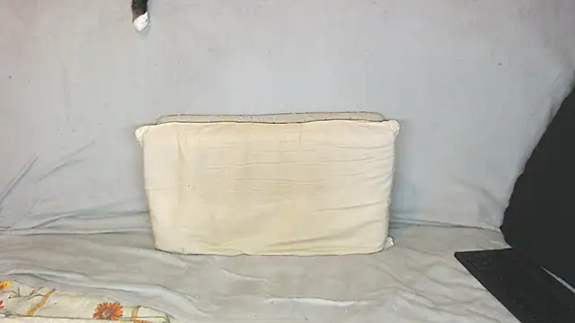 qustci-couple online show from 10.21.25