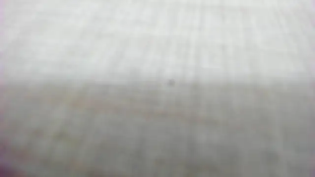 AishaRouhi online show from 02.14.26