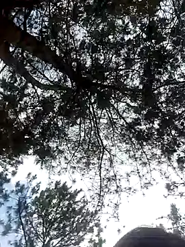 Snapshot of Sofia_xx2 chatting on 02.27.25 Sofia xx2 online show from 02.27.25