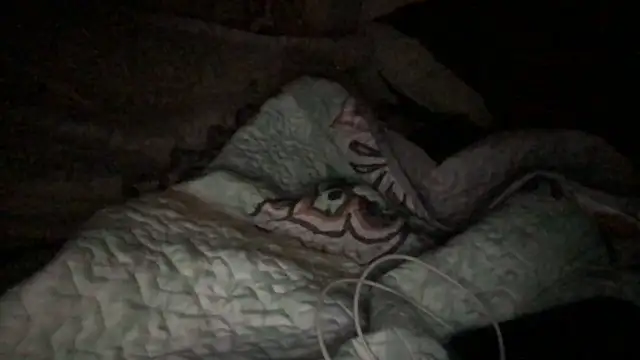 Snapshot of loveofbea chatting on 10.23.25 loveofbea online show from 10.23.25