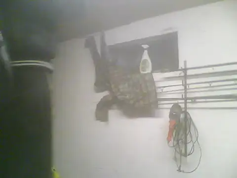 Snapshot of Rejtelmesest chatting on 02.22.25 Rejtelmesest online show from 02.22.25