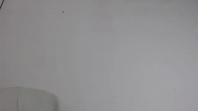 Niurca01  online show from 10.05.25