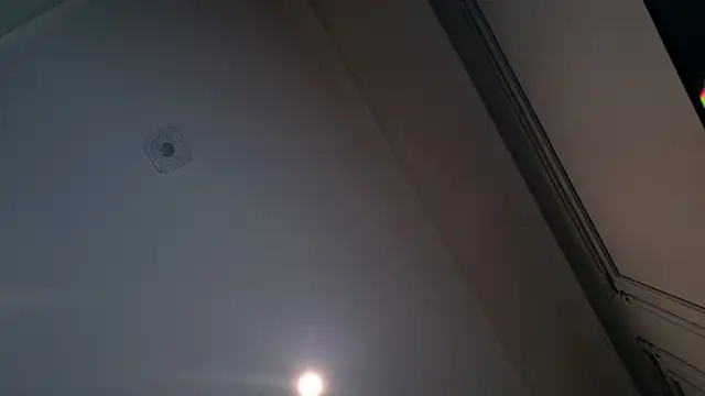 Liv Fay online show from 12.28.24