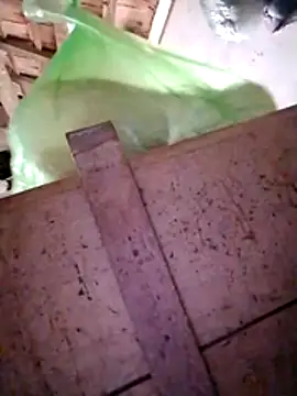 Hotpussy3ox online show from 12.20.25