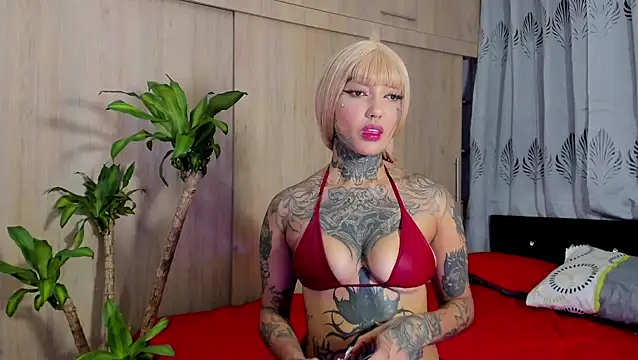 filletatouee online show from 01.06.26