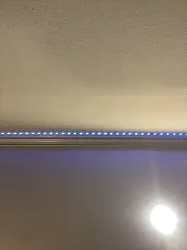 Snapshot of ThicBunz chatting on 03.16.25 ThicBunz online show from 03.16.25