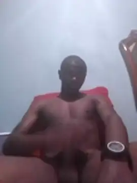 DigCrok online show from 11.04.25