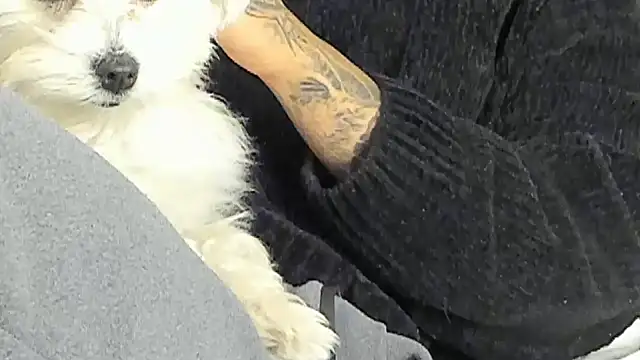 Ama music online show from 12.17.24