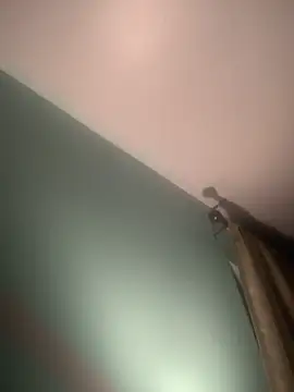 longhairjim online show from 02.09.25