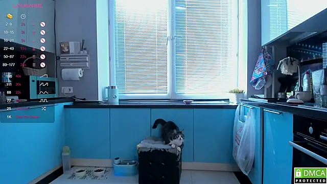 wwildfox online show from 03.16.26