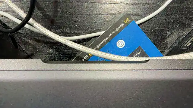 TinyTraps online show from 12.17.24