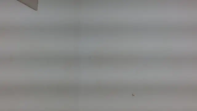 yulissa18 online show from 01.29.25