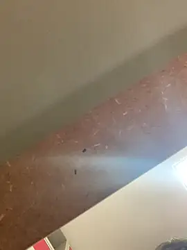 smithrosinha online show from 09.19.25