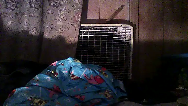 luke thighwalker2469 online show from 12.02.25