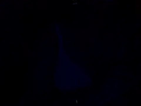 sanam rose online show from 01.02.25