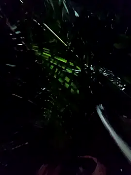 Snapshot of mis312 chatting on 01.08.26 mis312 online show from 01.08.26