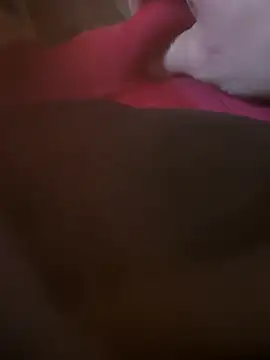 Snapshot of Fjome chatting on 11.15.25 Fjome online show from 11.15.25