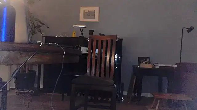 Snapshot of RolfS chatting on 01.18.25 RolfS online show from 01.18.25