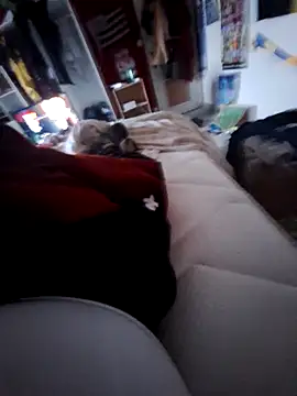 thefrenchhogan29 online show from 02.13.25