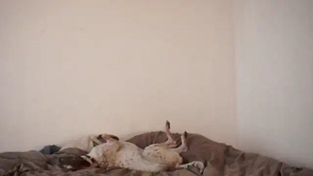 Stephany talks online show from 03.19.25