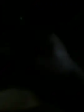 Josevictor650 online show from 06.16.26