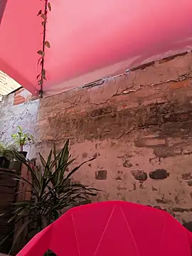 Fun Everywhere online show from 04.16.26