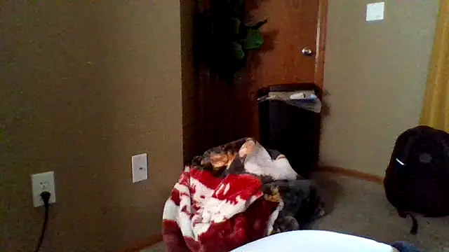 mikeystrong online show from 03.17.25