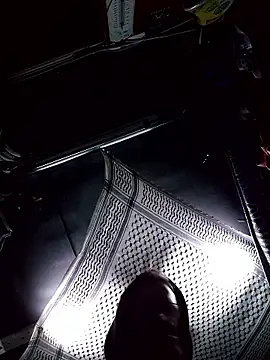 Snapshot of TRebelG chatting on 01.06.26 TRebelG online show from 01.06.26