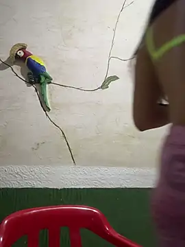 Snapshot of Karla-sexy01 chatting on 01.04.25 Karla-sexy01 online show from 01.04.25